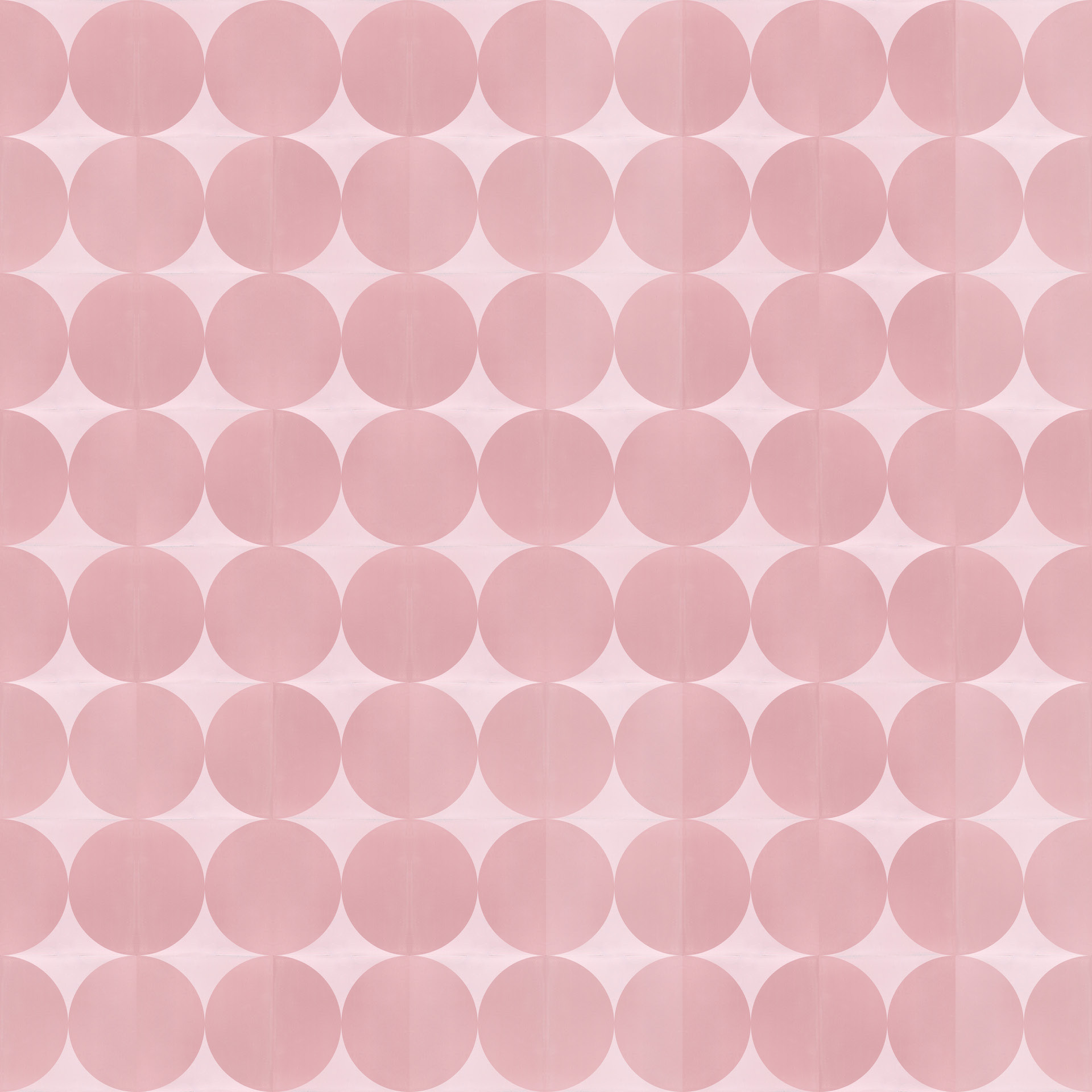 Zementfliese  N° 1548384