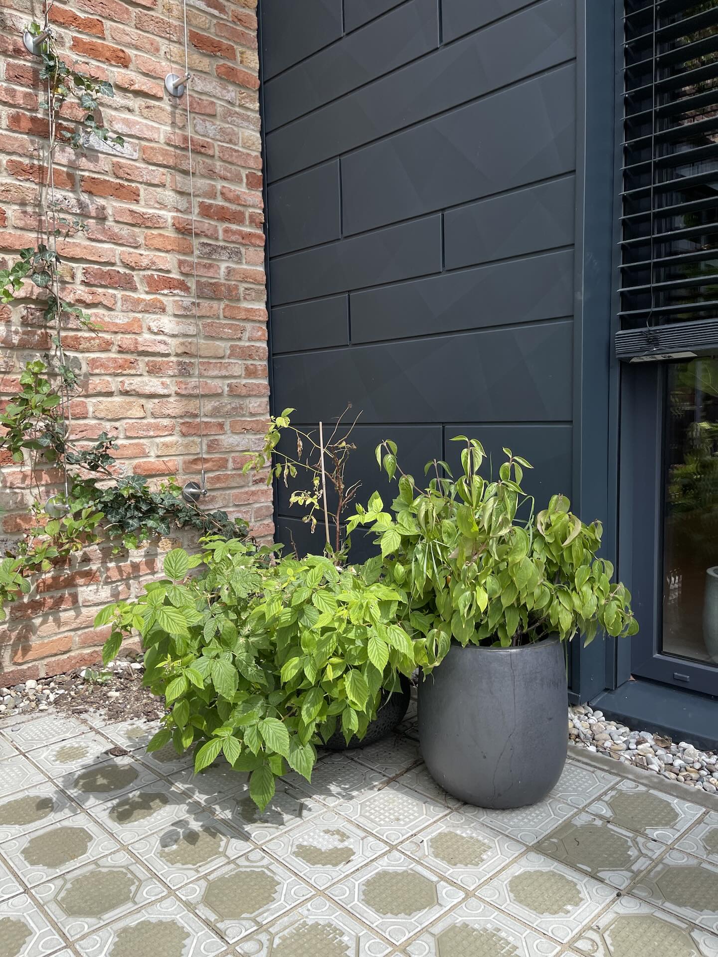 Trottoirplatte N° AP15