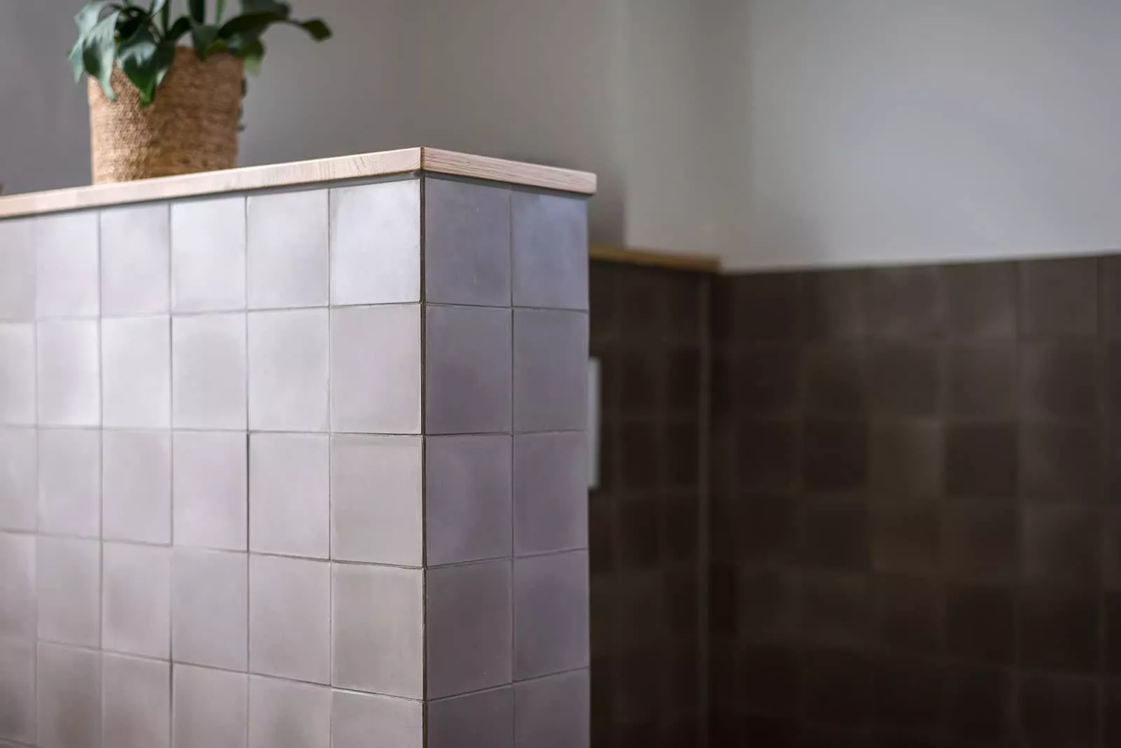 Zementfliesen von VIA in graubraun Wand im Bad