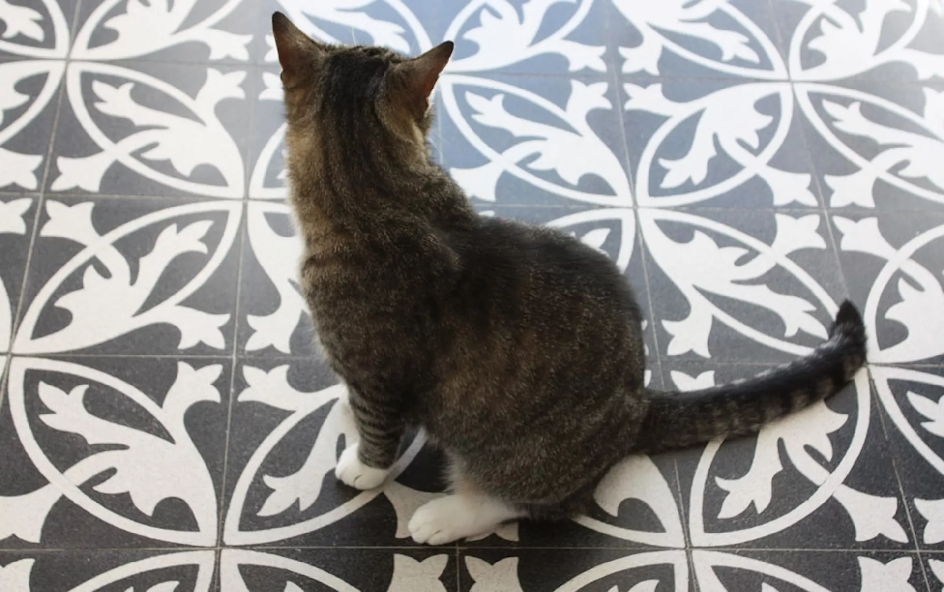 Terrazzofliese N° 710860