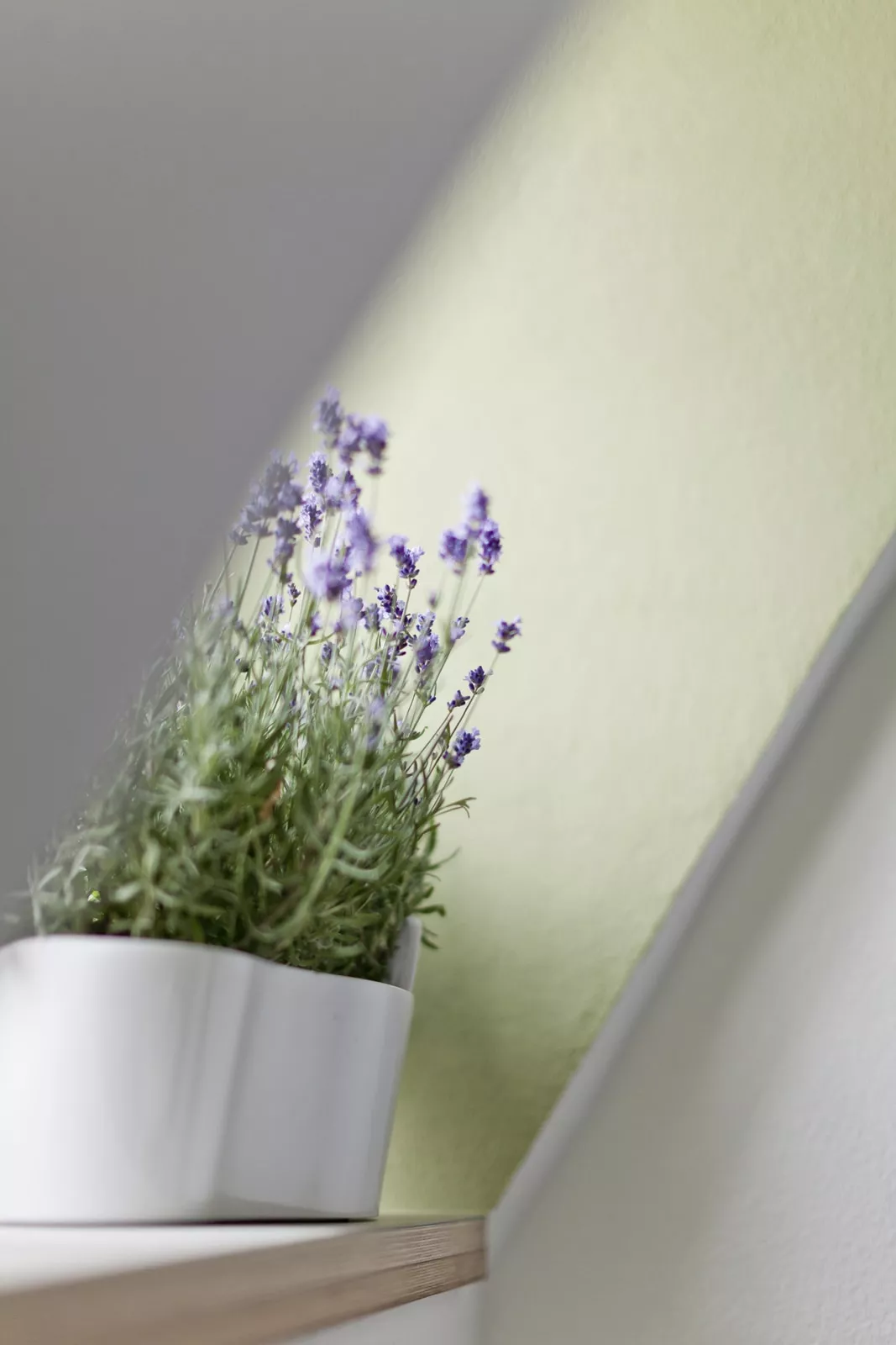 Kreidefarbe Heugrün N° 104