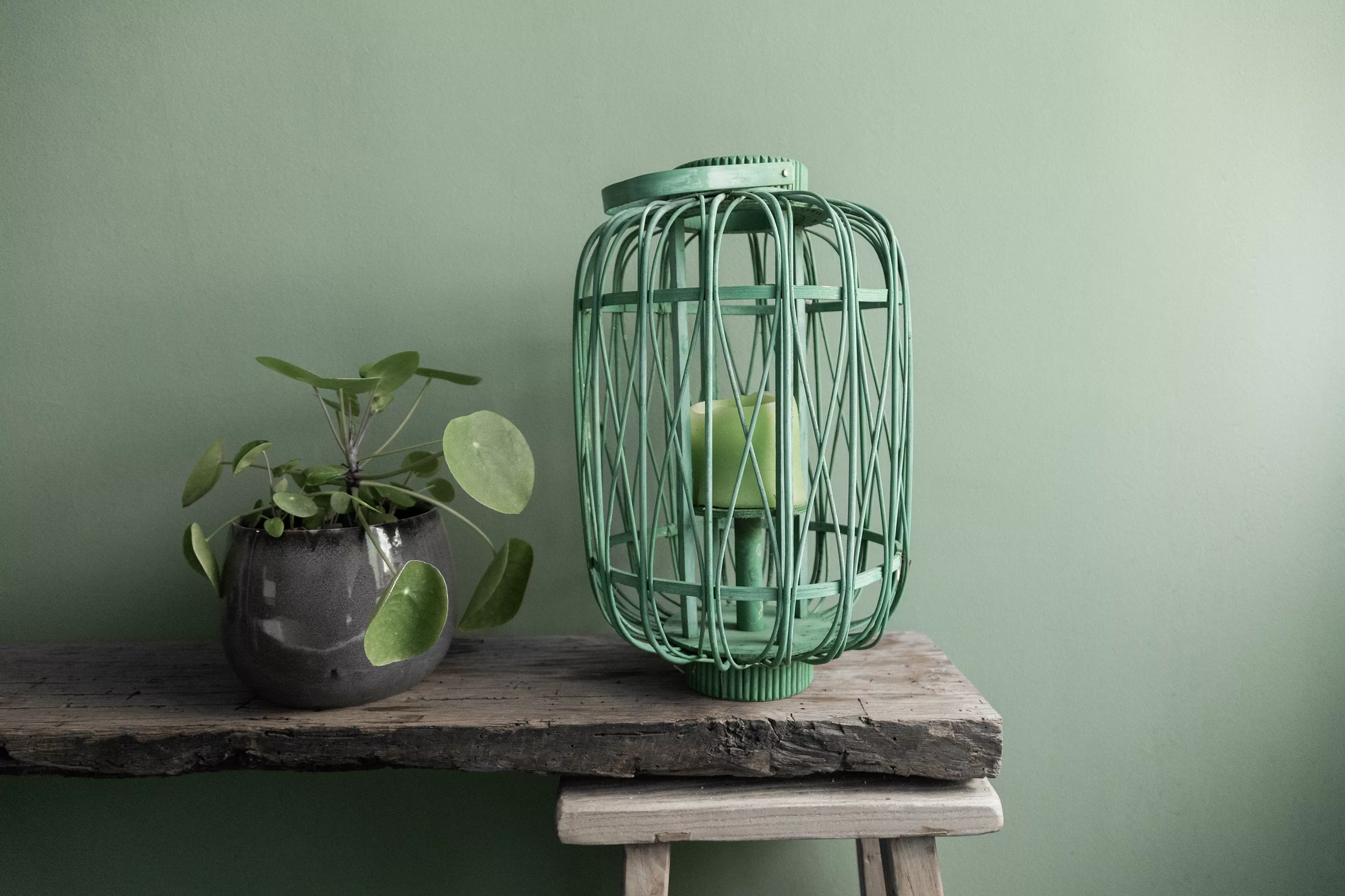 Grüne Wandfarbe mit Ufopflanze und Dekowindlicht