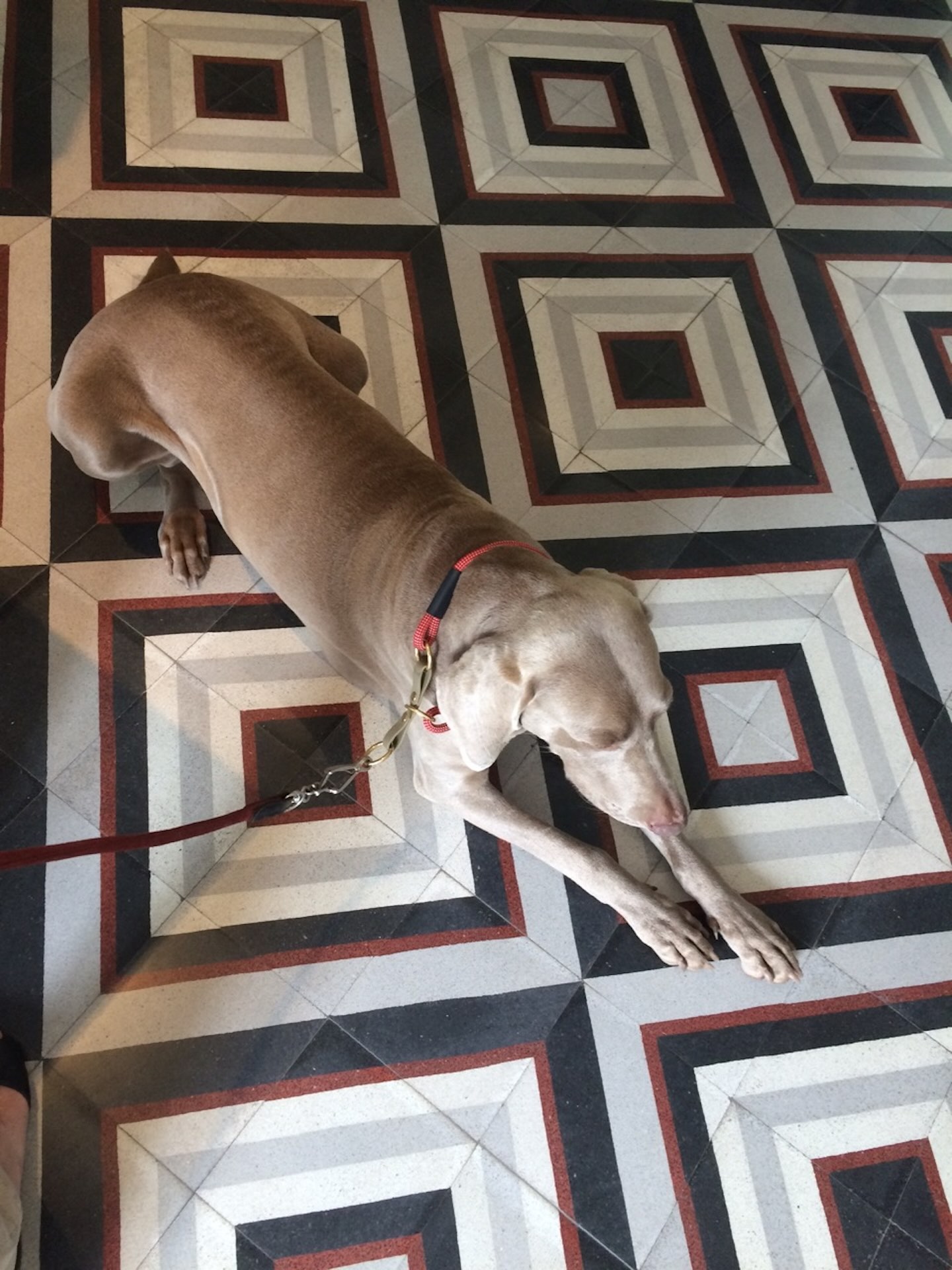 Terrazzofliese N° 710952