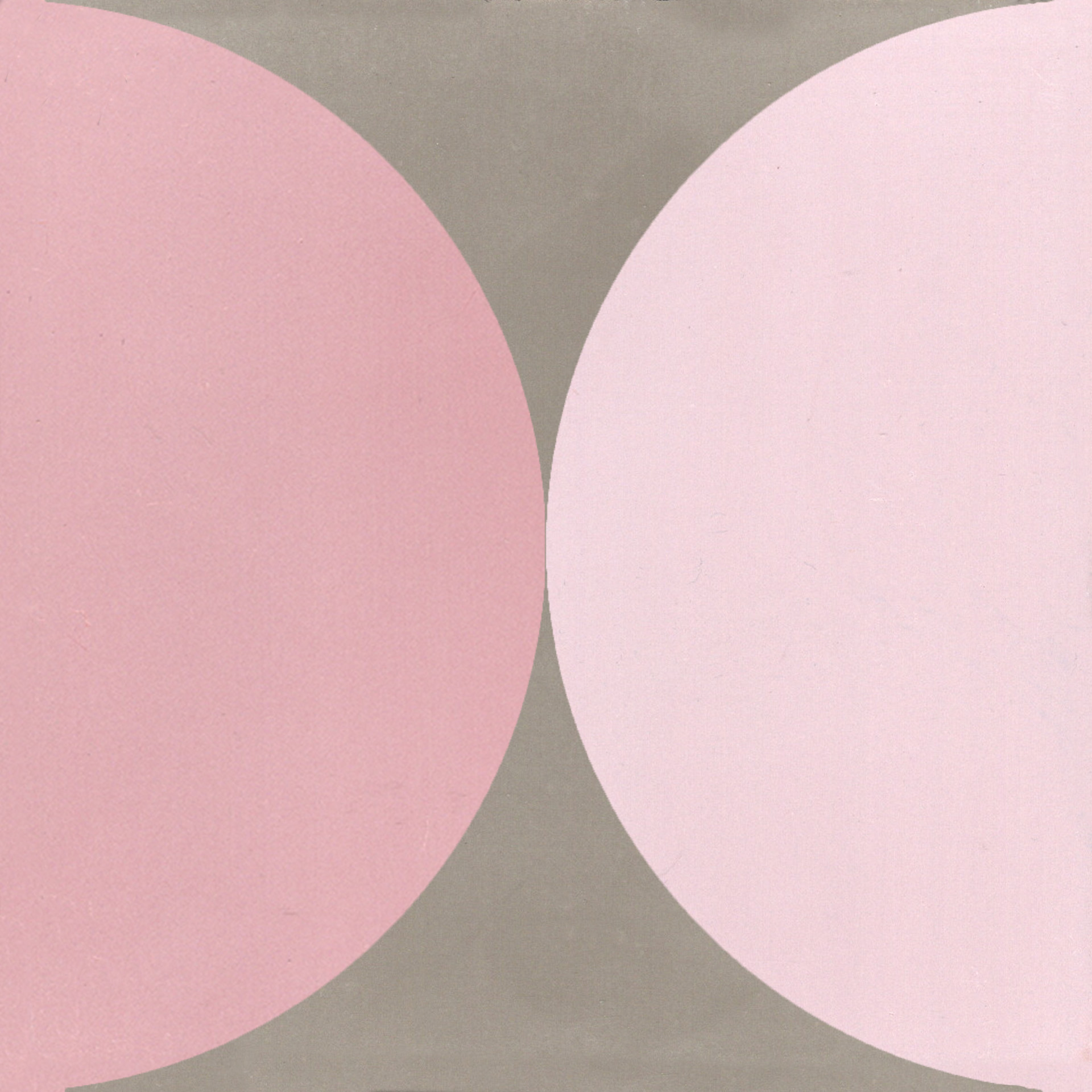 Zementfliese  N° 1557583