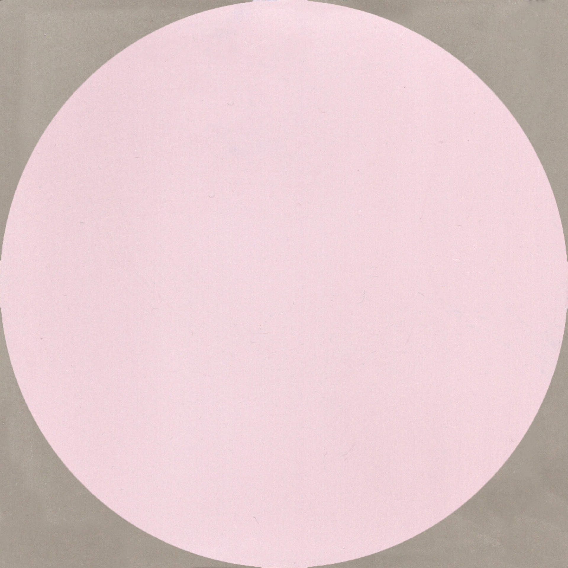 Zementfliese  N° 1527583