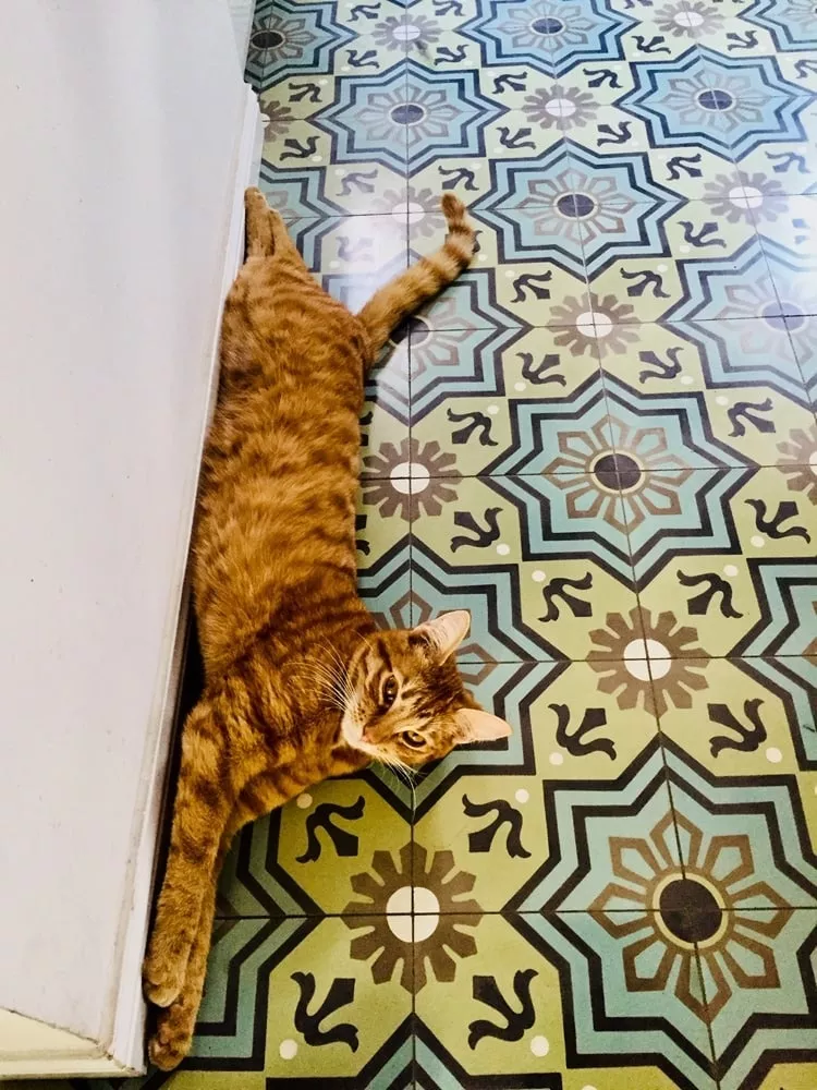 Zementfliese N° 13521