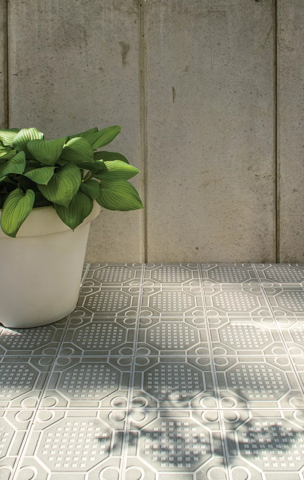 graue Trottoirplatten mit grauer Wand und Grünpflanze
