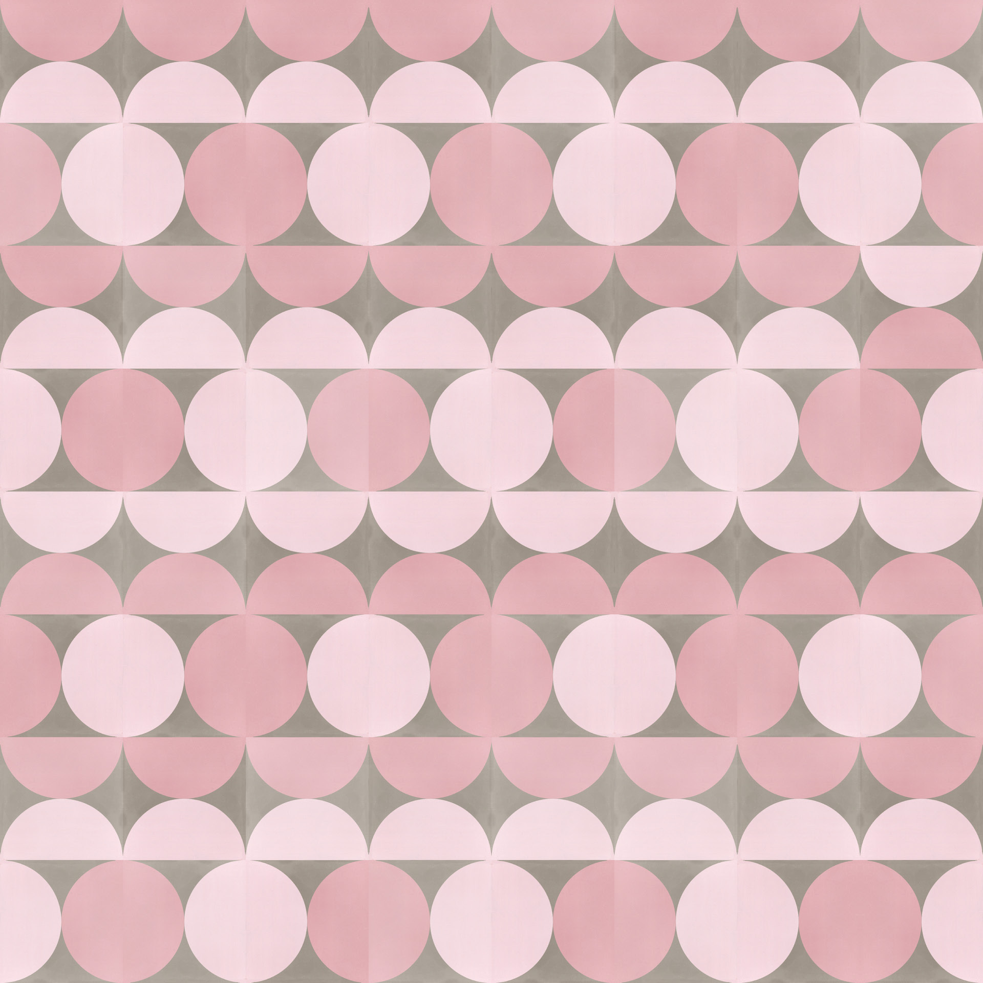 Zementfliese  N° 1557583